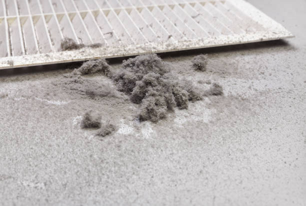 Best Emergency Air Duct Cleaning  in Mountain View Acres, CA