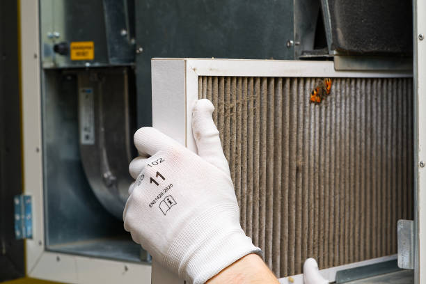 Best Best Air Duct Cleaning Company  in Mountain View Acres, CA