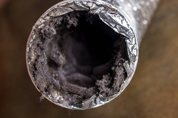 Best Affordable Duct Cleaning Services  in Mountain View Acres, CA